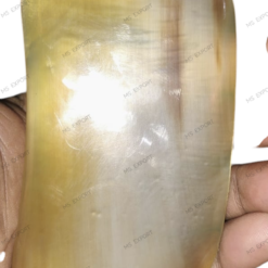 Gua Sha Tool Hand Made Buffalo Horn