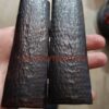 Bone black dot jigged amber knife handle scales